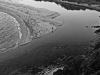 dsc00284-1